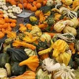 Andy T's Farm Market photo