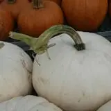 Andy T's Farm Market photo