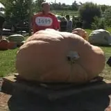 Andy T's Farm Market photo