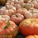 Andy T's Farm Market photo