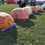 Andy T's Farm Market photo