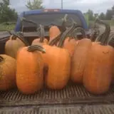 Andy T's Farm Market photo
