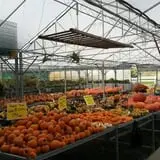 Andy T's Farm Market photo
