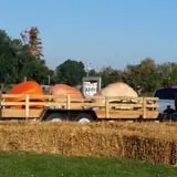 Andy T's Farm Market photo
