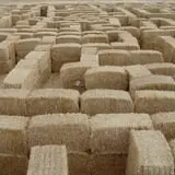 Larsen's Maze photo