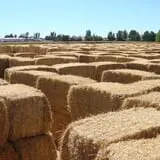 Larsen's Maze photo