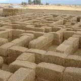 Larsen's Maze photo