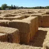 Larsen's Maze photo