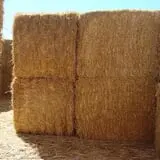 Larsen's Maze photo