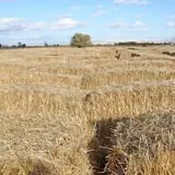 Larsen's Maze photo