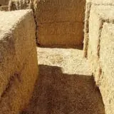 Larsen's Maze photo