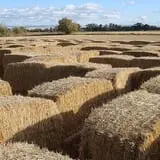 Larsen's Maze photo