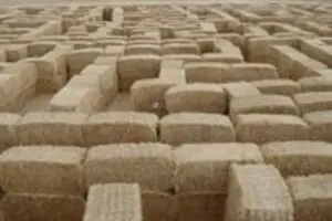 Larsen's Maze