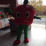 Ritter's Cider Mill photo