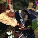 Ritter's Cider Mill photo