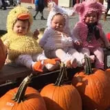 Ritter's Cider Mill photo