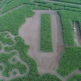 Richardson Farm Corn Maze and Pumpkin Patch photo