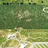 2015 Maze Design Stanley Cup Champions The Chicago Blackhawks