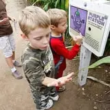 Corn Maze Games