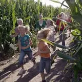 Girst Corn Maze