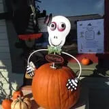 Elgin Christmas Tree Farm Pumpkin Festival photo