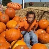 Elgin Christmas Tree Farm Pumpkin Festival photo