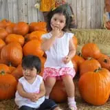 Elgin Christmas Tree Farm Pumpkin Festival photo