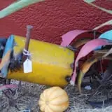 Elgin Christmas Tree Farm Pumpkin Festival photo