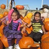 Elgin Christmas Tree Farm Pumpkin Festival photo