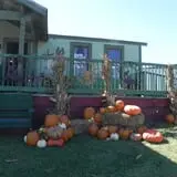 Elgin Christmas Tree Farm Pumpkin Festival photo