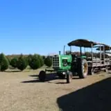Elgin Christmas Tree Farm Pumpkin Festival photo