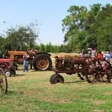 Elgin Christmas Tree Farm Pumpkin Festival photo