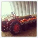 Elgin Christmas Tree Farm Pumpkin Festival photo