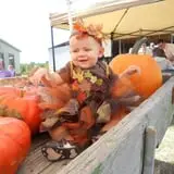 Elgin Christmas Tree Farm Pumpkin Festival photo