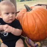 Elgin Christmas Tree Farm Pumpkin Festival photo