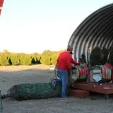 Elgin Christmas Tree Farm Pumpkin Festival photo