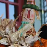 Elgin Christmas Tree Farm Pumpkin Festival photo