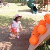 Elgin Christmas Tree Farm Pumpkin Festival photo
