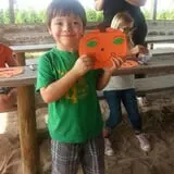 Elgin Christmas Tree Farm Pumpkin Festival photo