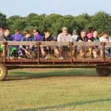 Elgin Christmas Tree Farm Pumpkin Festival photo
