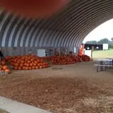 Elgin Christmas Tree Farm Pumpkin Festival photo