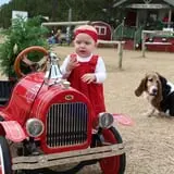 Elgin Christmas Tree Farm Pumpkin Festival photo