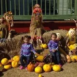 Elgin Christmas Tree Farm Pumpkin Festival photo