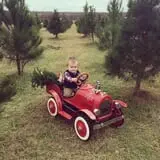 Elgin Christmas Tree Farm Pumpkin Festival photo