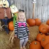 Elgin Christmas Tree Farm Pumpkin Festival photo