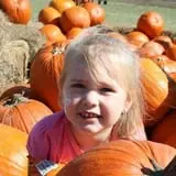 Elgin Christmas Tree Farm Pumpkin Festival photo