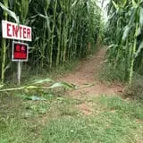 Applewald Farm photo
