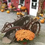 Applewald Farm photo