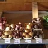 Applewald Farm photo