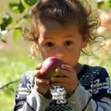Applewald Farm photo